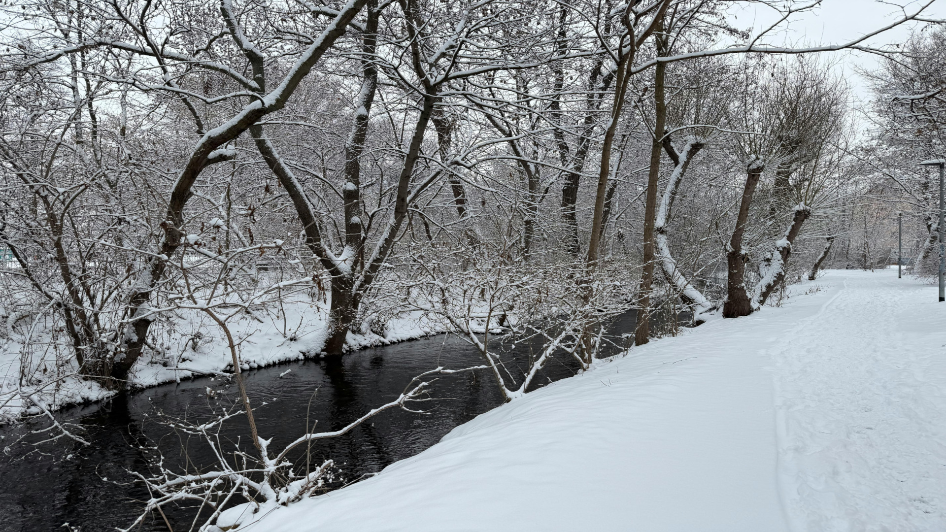 Silent Echoes of Winter’s Path